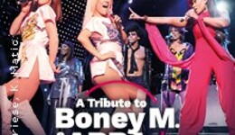 A Tribute to Boney M. & ABBA