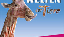 KÖRPERWELTEN der Tiere